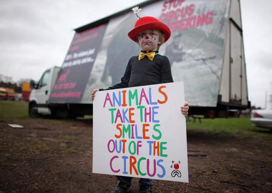 Manifestazione per un circo senza animali