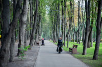 Сирецький парк