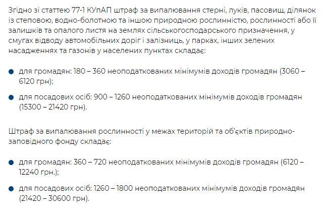 У столиці залишається надзвичайний рівень пожежної небезпеки