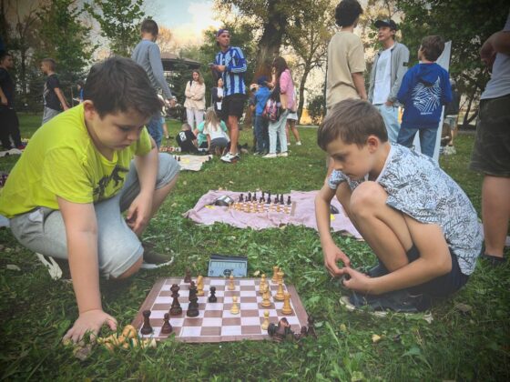 Ліга каштанового коня: Турнір на галявині
