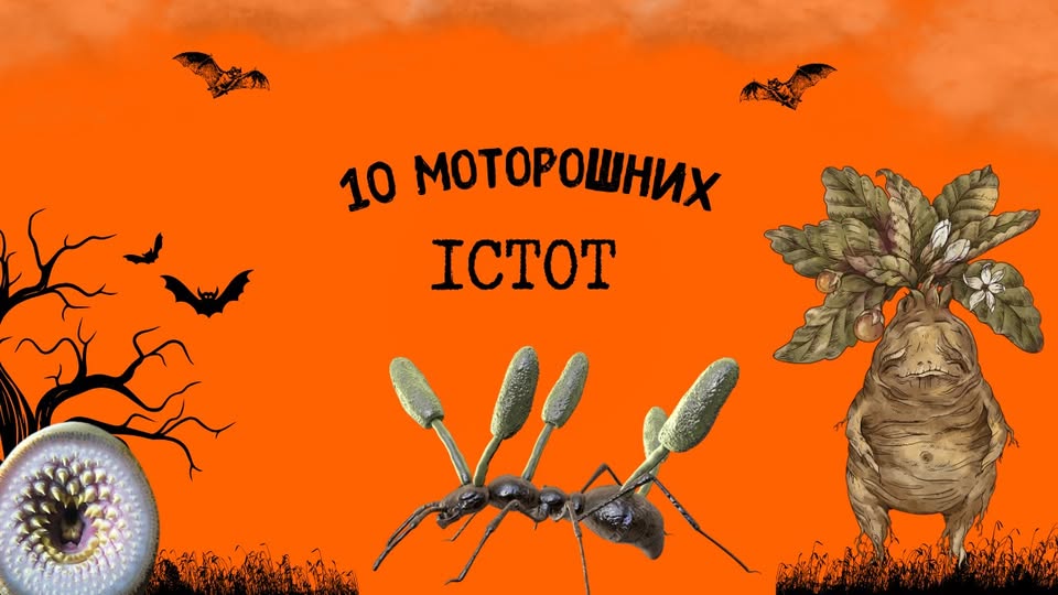 10 моторошних істот (для дітей шкільного віку) 10 моторошних істот (для дітей шкільного віку)