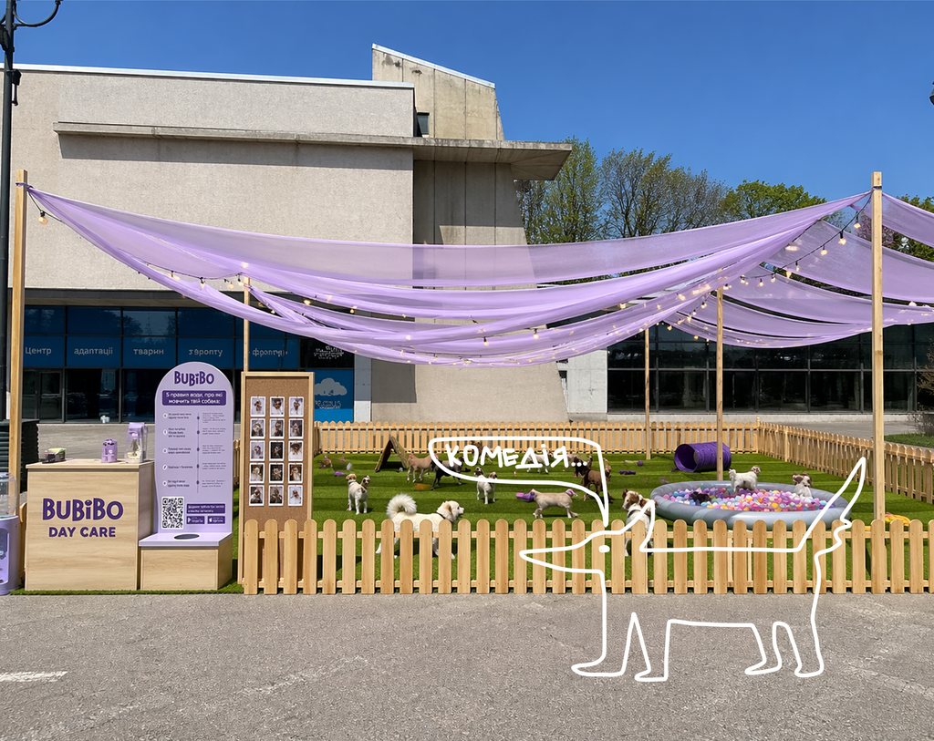 Bubibo Day Care на Куражі: ігрова зона для собак