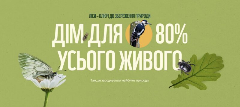 Ліс та економіка України